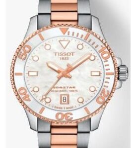 Tissot T120-210-22-111-00