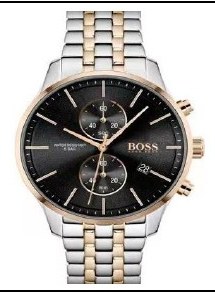 Hugo Boss 1513840