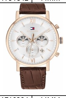 Hugo Boss 1710394