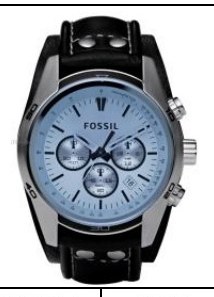 Fossil CH2564