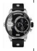 Diesel DZ7256