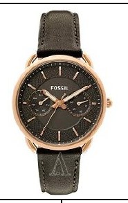 Fossil ES3913