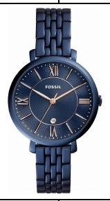 Fossil ES4094