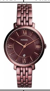 Fossil ES4100