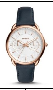 Fossil ES4260