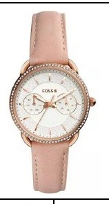 Fossil ES4393