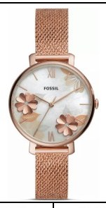Fossil ES4534