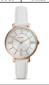 Fossil ES4579