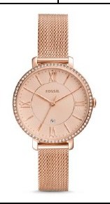 Fossil ES4628