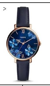 Fossil ES4673