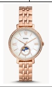 Fossil ES5165