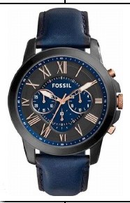 Fossil FS5061