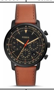 Fossil FS5501