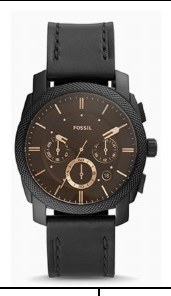 Fossil FS5586