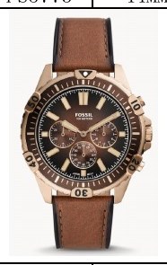 Fossil FS5867