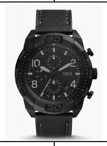 Fossil FS5874