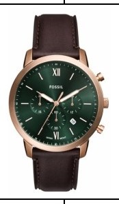 Fossil FS6073