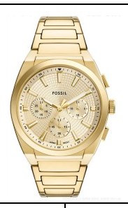 Fossil FS6119