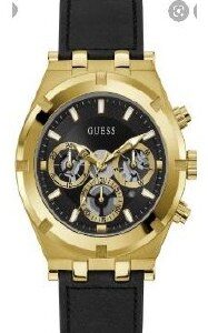 Guess GW0262G2
